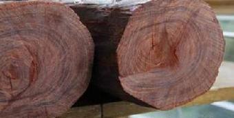 名贵木材市场价格值多少钱 现金收购_志趣网