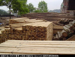 常年收购收木头、木材、方木、圆木