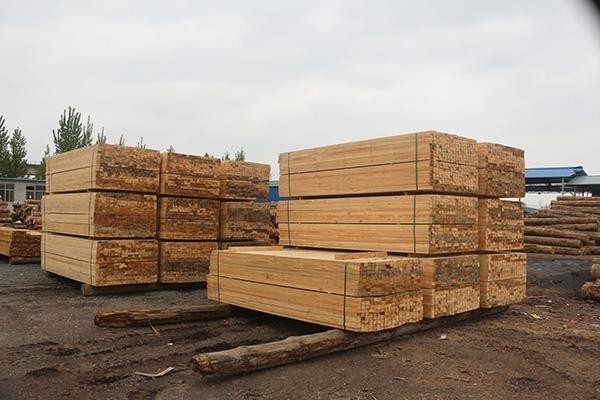 有人说到农村收购废旧木材能年赚20万,真的可以吗?